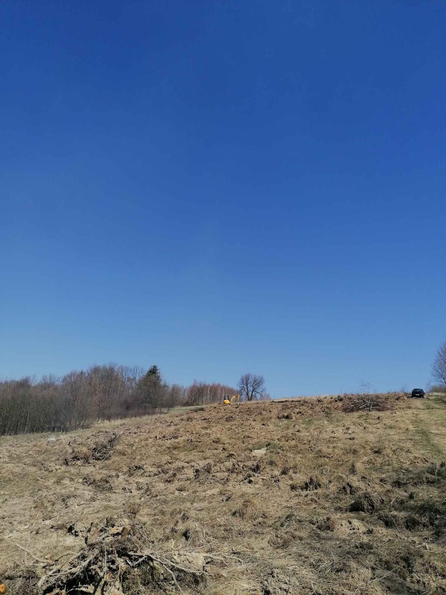 Karczowanie działek, czyszczenie działek, wycinka zarośli Sanok - zdjęcie 2