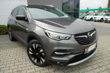 Opel Grandland X Automat,Kamera,Navi Dębica - zdjęcie 9