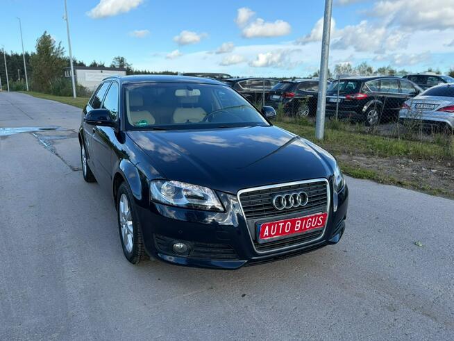 Audi A3 Climatronic   wymieniony rozrząd ledy xsenon automat navi Lębork - zdjęcie 3