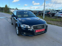 Audi A3 Climatronic   wymieniony rozrząd ledy xsenon automat navi Lębork - zdjęcie 3
