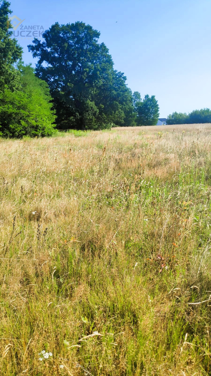 Sprzedam działki budowlane w Śladowie Śladów - zdjęcie 3