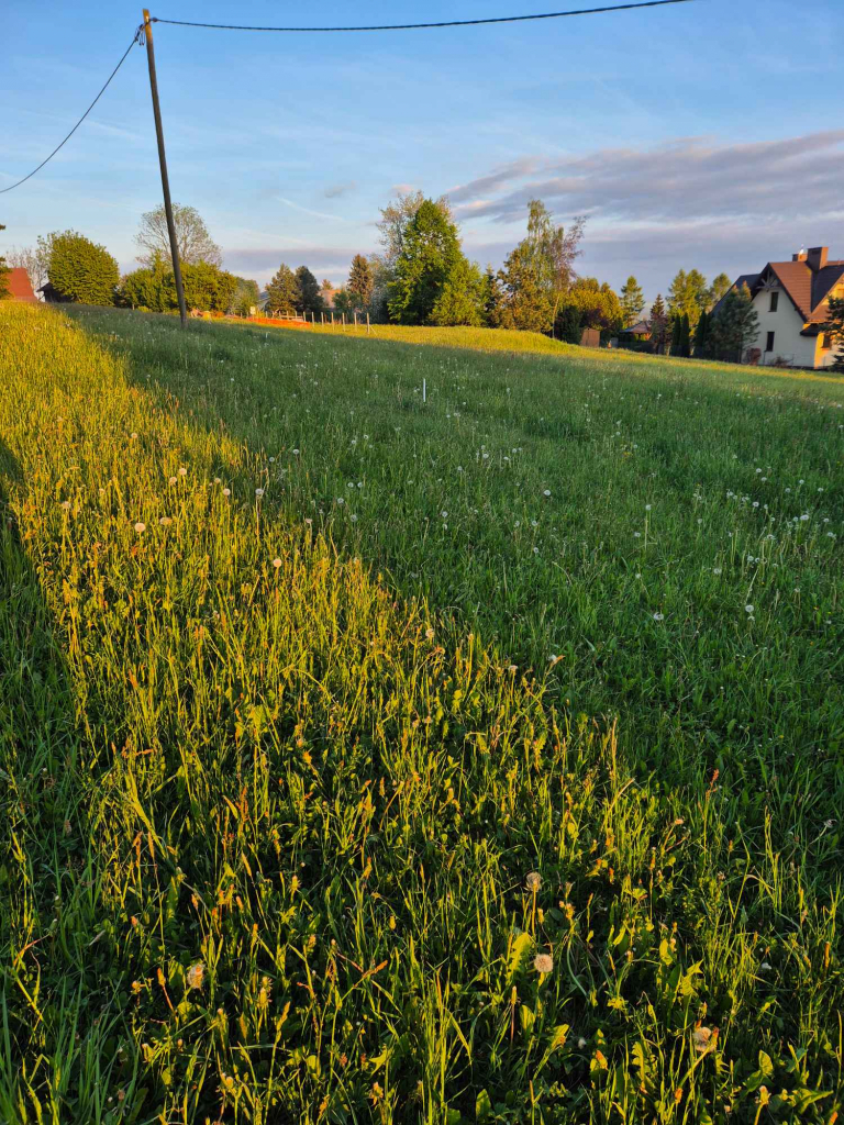 Działka budowlana 2134m2 Nowy Targ Nowy Targ - zdjęcie 11