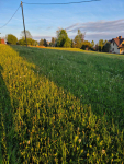 Działka budowlana 2134m2 Nowy Targ Nowy Targ - zdjęcie 11