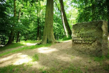 1pok, 33met, Okolice Majchra PIWNICA/blisko AOW (Wrocław) Fabryczna - zdjęcie 9