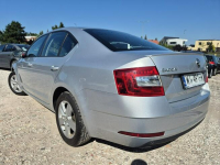 Škoda Octavia Salon Polska*1.5Tsi* Zadbana*12.2018* Vat23 Bydgoszcz - zdjęcie 4