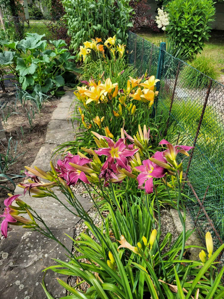 DZIAŁKA REKREACYJNA Fabryczna - zdjęcie 8