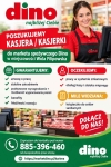 KASJER/KASJERKA - SPRZEDAWCA/ SPRZEDAWCZYNI DINO WOLA FILIPOWSKA