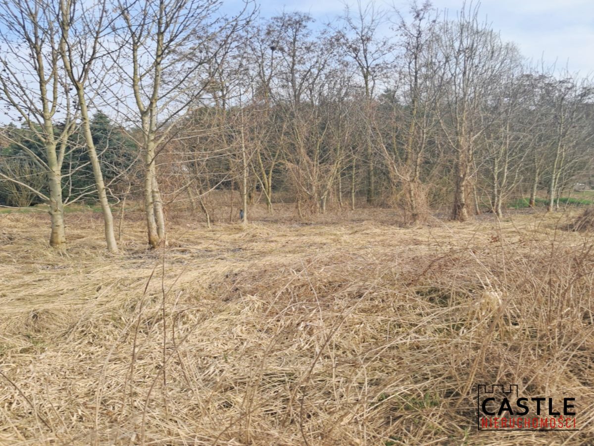 Zamieszkaj w sąsiedztwie lasu Mieściska - zdjęcie 11