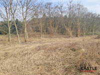 Zamieszkaj w sąsiedztwie lasu Mieściska - zdjęcie 11