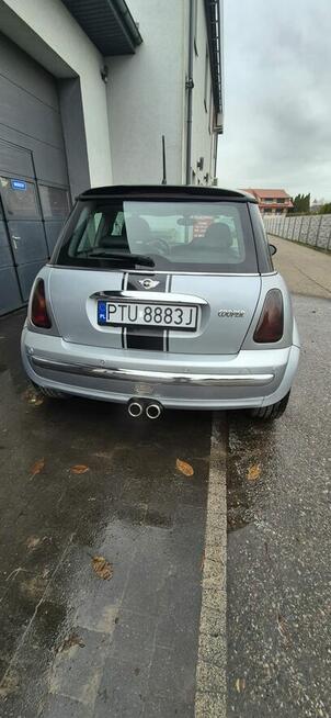 Sprzedam mini Władysławów - zdjęcie 2