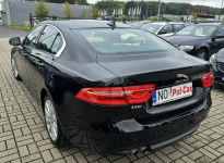 Jaguar XE model 2016, polski salon, serwis, nowy rozrząd, Olsztyn - zdjęcie 6