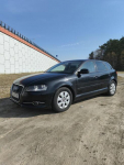 Audi A3 Sportback 1.6 Antoniew - zdjęcie 8