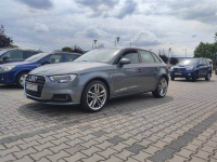Audi A3 8V 1.6 TDI 110 koni Turek - zdjęcie 2