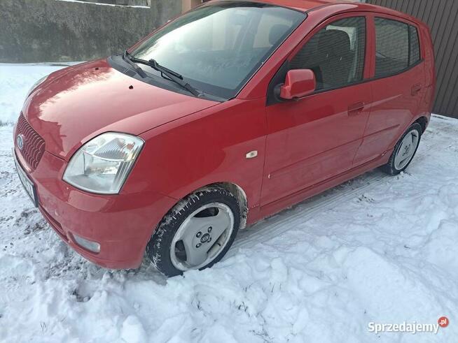 Kia Picanto Włoszczowa - zdjęcie 3