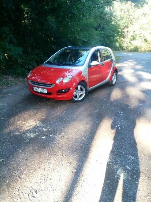 Auto miejskie Gubin - zdjęcie 12
