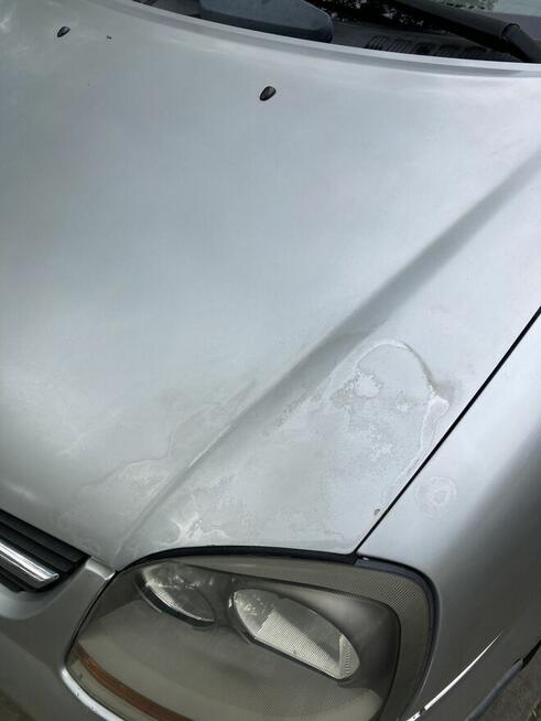 Almera Tino Mokotów - zdjęcie 6