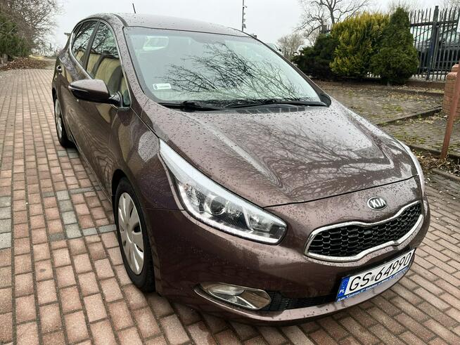 Kia Cee'd Bezwypadkowy 1.6 benzyna polski salon Słupsk - zdjęcie 3