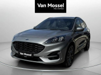 Ford Kuga Sadlno - zdjęcie 2