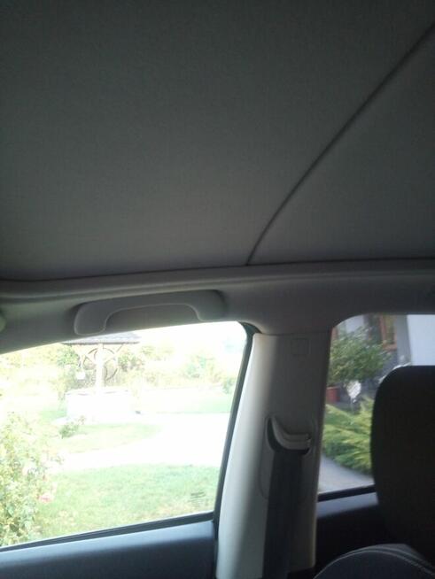 Sprzedam Jelna - zdjęcie 9