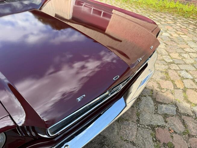 1965 Ford Mustang 289 v8 Automat Sprowadzony LUXURYCLASSIC Koszalin - zdjęcie 9