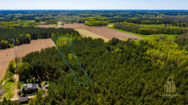 Urokliwa działka w zaciszu lasu w Koźlikach!!! Koźliki - zdjęcie 2