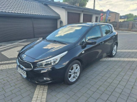 Kia Cee&#039;d 1.4i 100KM NAVI Full serwis - POLECAM Mysłowice - zdjęcie 2