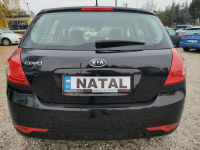 Kia Cee'd **REZERWACJA** Bydgoszcz - zdjęcie 3