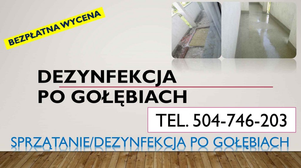 Czyszczenie po gołębiach, t. 504-746-203, sprzątanie ptasich odchodów Psie Pole - zdjęcie 5