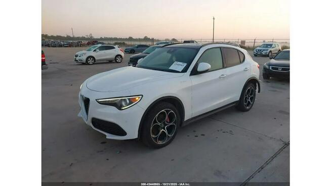 Alfa Romeo Stelvio / 2.0 280KM / 4x4 / niski przebieg / Tarnów - zdjęcie 1
