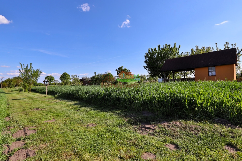 działka 5ar z altaną, zadbana, z drzewami owocowym Jędrzychowice - zdjęcie 1