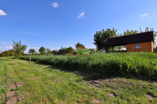 działka 5ar z altaną, zadbana, z drzewami owocowym