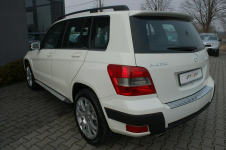 Mercedes GLK 220 4x4 Dębica - zdjęcie 3