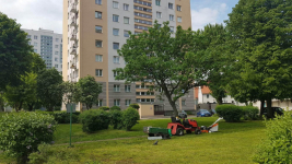 3 pokojowe mieszkanie do wynajęcia lipiec-wrzesień Gdańsk - zdjęcie 1