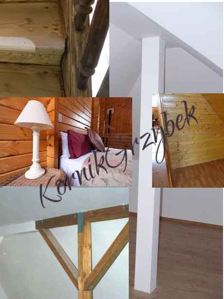 Generator mikrofalowy na kornika Wodzisław Śląski - zdjęcie 4