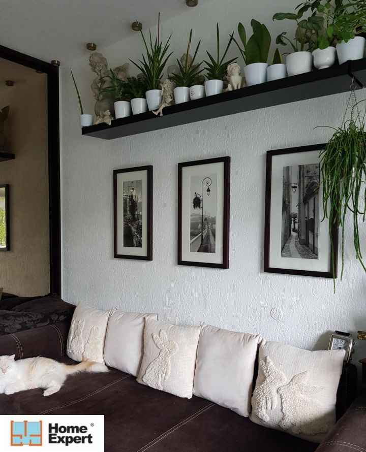 1pok, 33met, Okolice Lelewela BALKON/PIWNICA/PARKING (Wrocław) Stare Miasto - zdjęcie 3