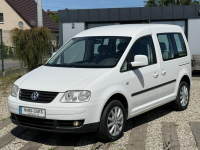 Volkswagen Caddy *LIFE*klimatronik*super stan* Dąbrowa - zdjęcie 12