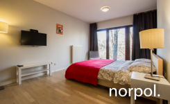 Mieszkanie typu studio z aneksem kuchennym, al. Kijowska Krowodrza - zdjęcie 9