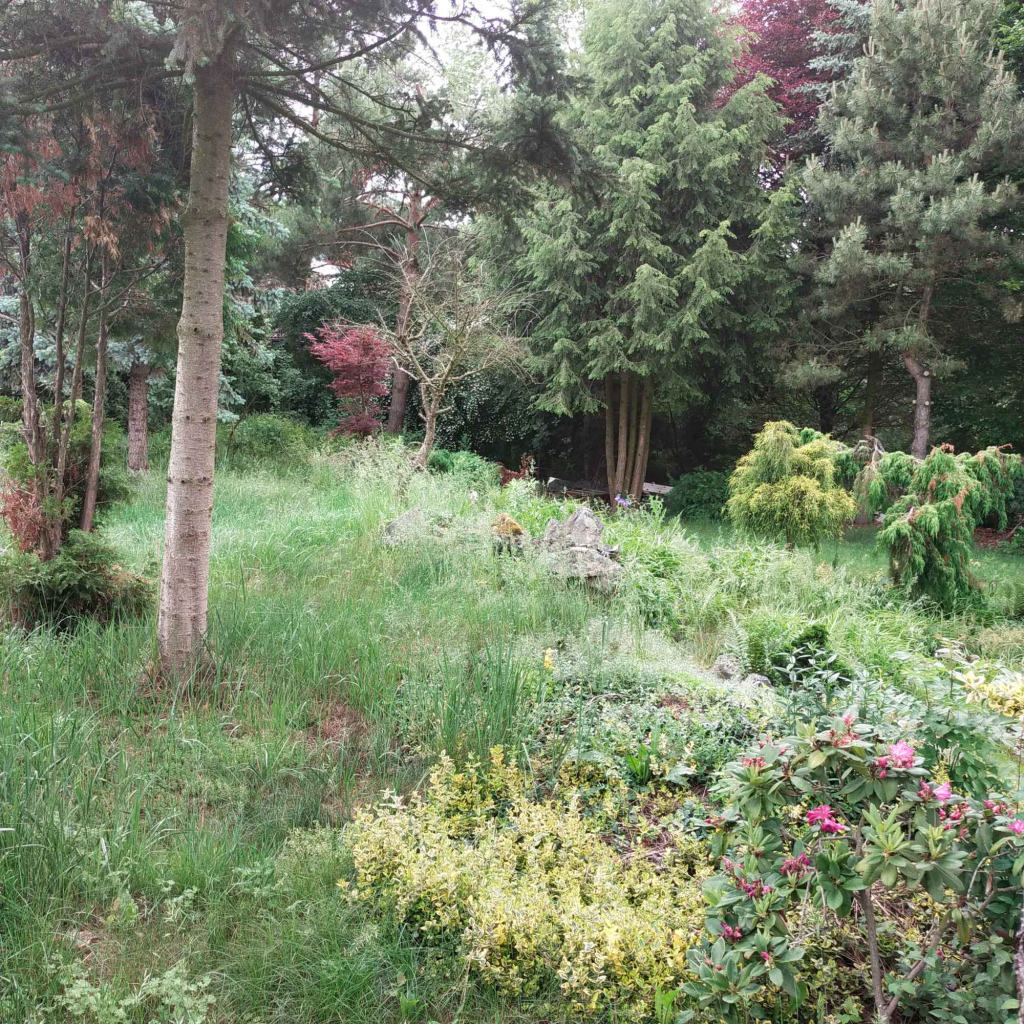 Działka budowlana  Katowice Zarzecze Katowice - zdjęcie 10