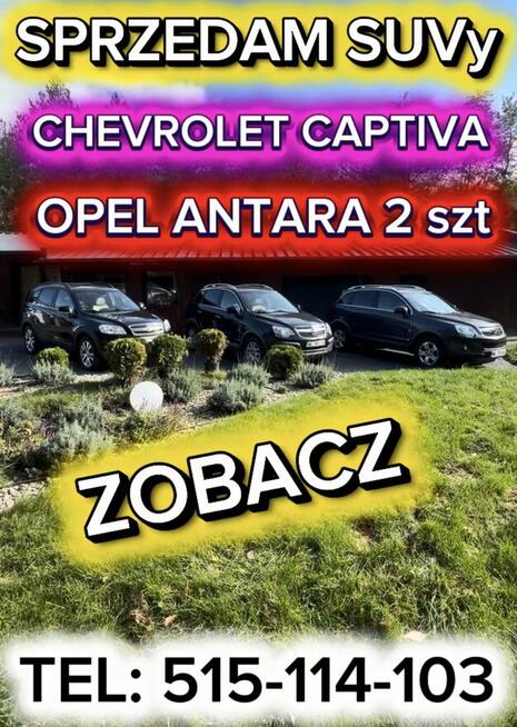 3 sztuki Opel Antara Chevrolet Captiva - ZOBACZ Dobre Auta Legionowo - zdjęcie 1