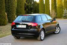 Audi A3 1.6MPI*102KM Ostrów Mazowiecka - zdjęcie 8