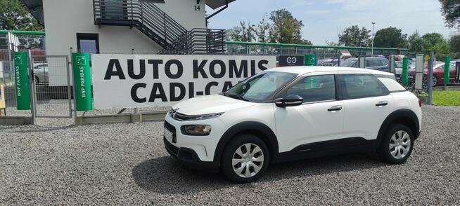 Citroen C4 Cactus Super stan. Goczałkowice-Zdrój - zdjęcie 1