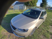 Sprzedam Chocianowiec - zdjęcie 5