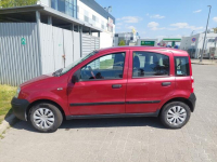 FIAT Panda Panda 1.1 Actual Eco