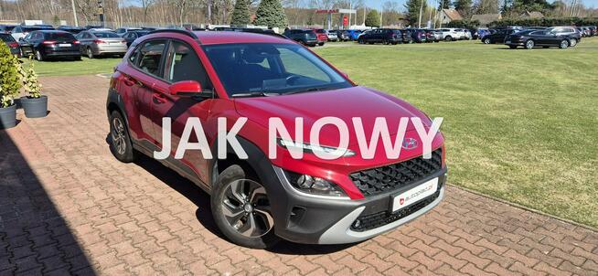 Hyundai Kona HYBRYDA-LED-AUTOMAT Paproć - zdjęcie 1