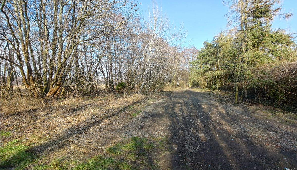 Działka nad jeziorem. Strykowo - zdjęcie 12