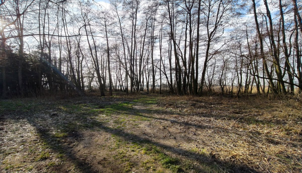 Działka na sprzedaż Strykowo Strykowo - zdjęcie 12