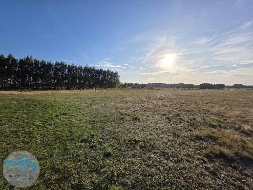 Unikalna działka inwestycyjna – budynek, hangar, lądowisko i staw Żyrów - zdjęcie 1