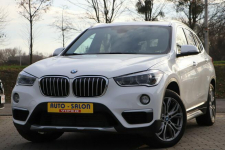 BMW X1 automat,skóra,alu,4x4,serwis,zarejestrowany Opole - zdjęcie 3