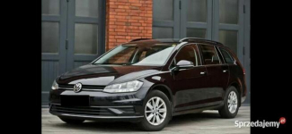 Volkswagen Golf VII 1.0 TSI Alu Klima Tempomat Grzane fotele Gorzów Wielkopolski - zdjęcie 2