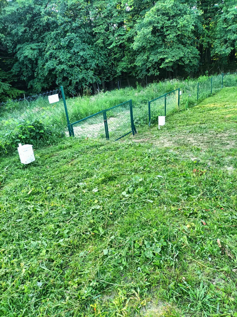 Działka rod przylesie złota karczma Gdańsk - zdjęcie 5